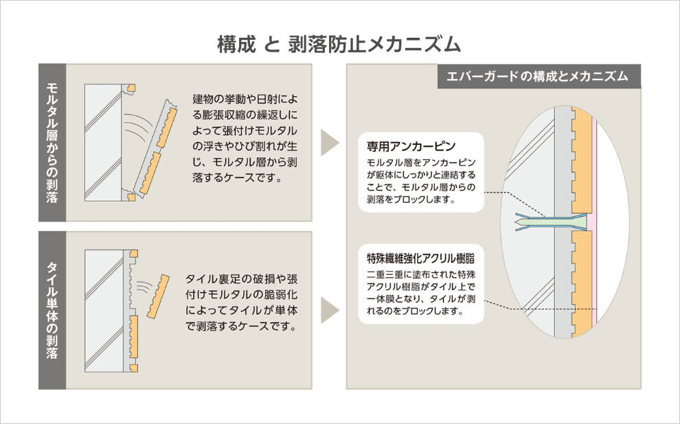 エバーガードSGの特徴